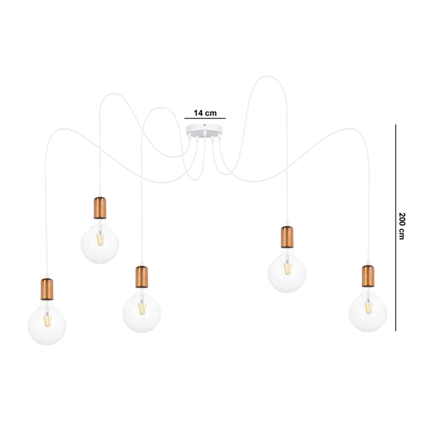 Luster na sajli MIROS 5xE27/60W/230V pauk bela/bakrena