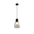 Luster na sajli MOLDO 1xE27/40W/230V crno/prozirna