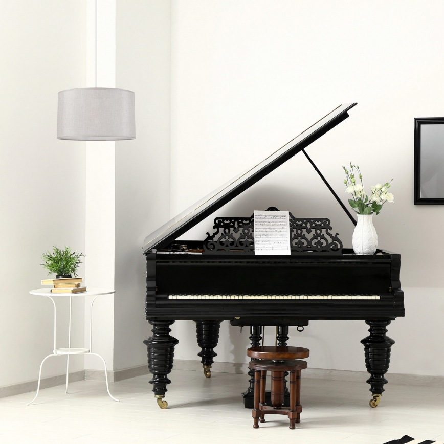 Luster na sajli MONTE 1xE27/60W/230V srebrno