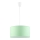 Luster na sajli RONDO KIDS 1xE27/25W/230V zelena