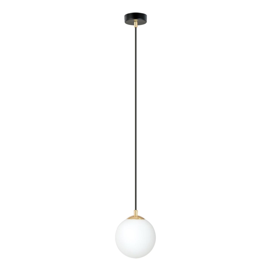 Luster na sajli ROYAL 1xE14/10W/230V pr. 14 cm crno