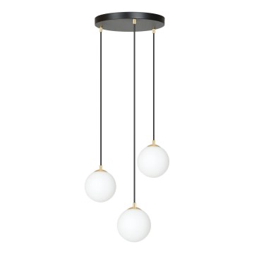 Luster na sajli ROYAL 3xE14/10W/230V pr. 30 cm crno