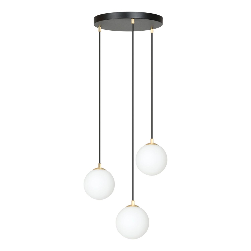 Luster na sajli ROYAL 3xE14/10W/230V pr. 30 cm crno