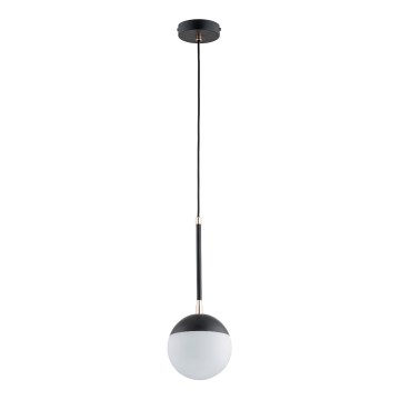 Luster na sajli VOLDA 1xE14/10W/230V crno