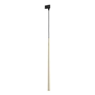 Luster na sajli za 3-fazni šinski sastav PIANO 1xG9/8W/230V zlatna/crno