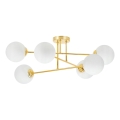 Luster na štapu 6xE27/35W/230V prečnik 80 cm zlatni