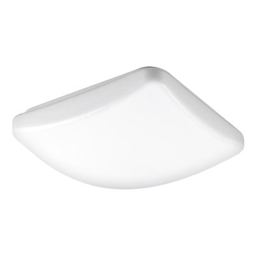 LUXERA 38203 - LED plafonsko svetlo KOSS 24xLED SMD/12W/230V