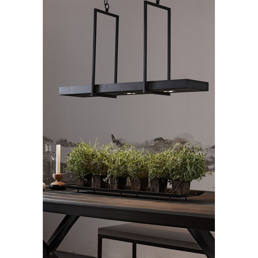 Markslöjd 105780 - LED luster za prigušivanje na lancu TRAY 3xLED/3W/230V crna