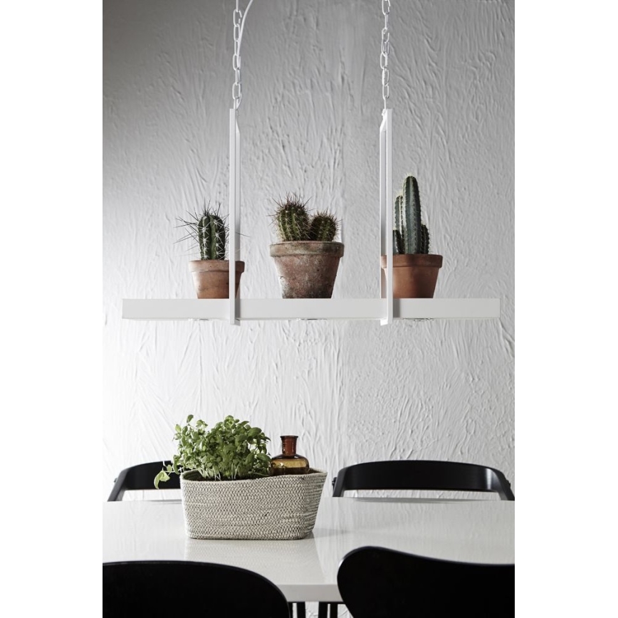 Markslöjd 106124 - LED Luster za prigušivanje na lancu TRAY 3xLED/3W/230V bela