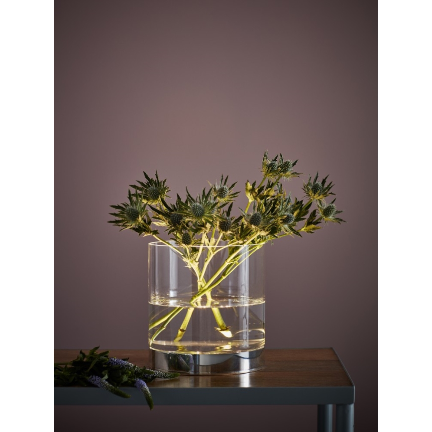 Markslöjd 107326 - LED Stona lampa BOUQUET LED/3W/230V