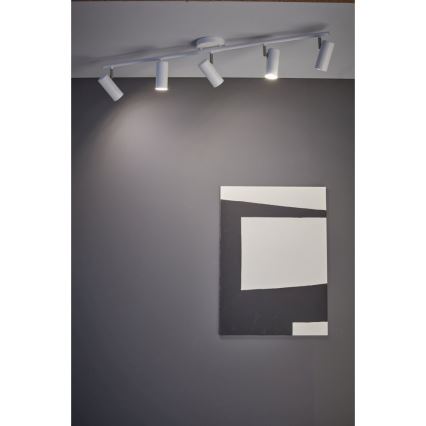 Markslöjd 107352 - Reflektorska lampa BARCELONA 5xGU10/12W/230V