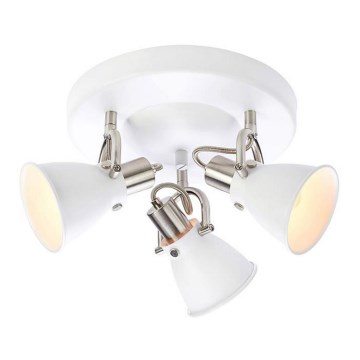 Markslöjd 107855 - Reflektorska lampa ALTON 3xE14/40W/230V