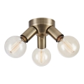 Markslöjd 108550 - Plafonjera MAZZO 3xE27/40W/230V mesing