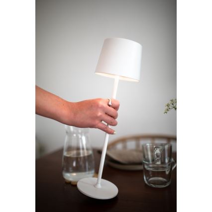 Markslöjd 108654 - LED Prigušiva punjiva lampa FIORE LED/2W/5V IP44 38 cm bela