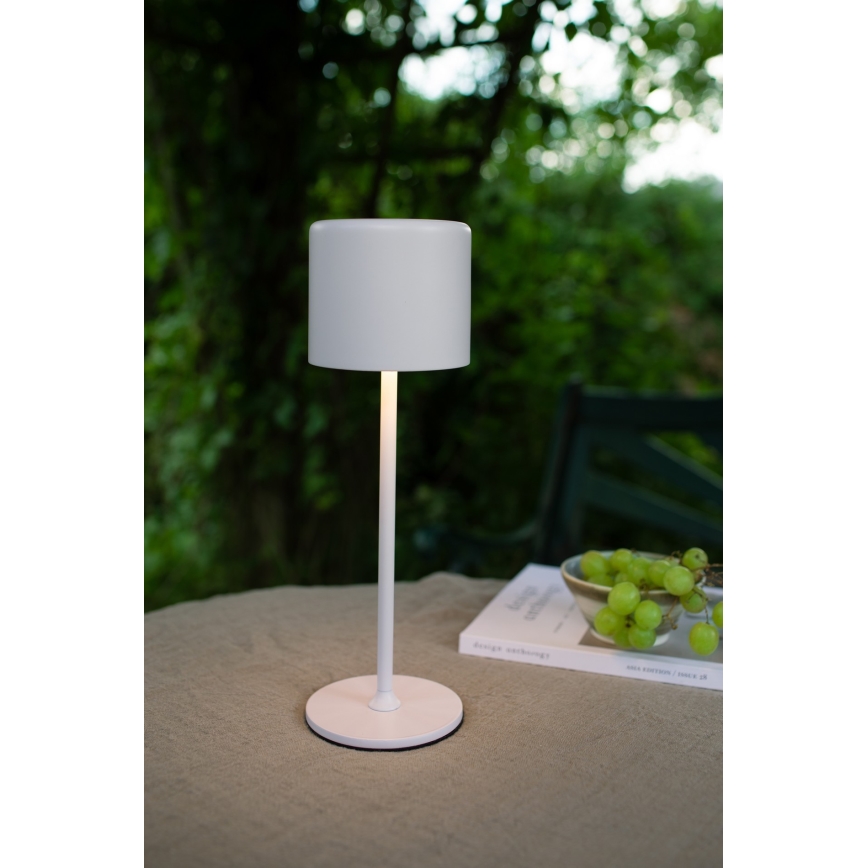 Markslöjd 108658 - LED Prigušiva punjiva lampa FILO LED/2W/5V IP44 30 cm bela