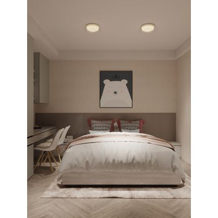 MAXLIGHT C0233 - LED Plafonjera DUO LED/10W/230V pr. 34 cm bela