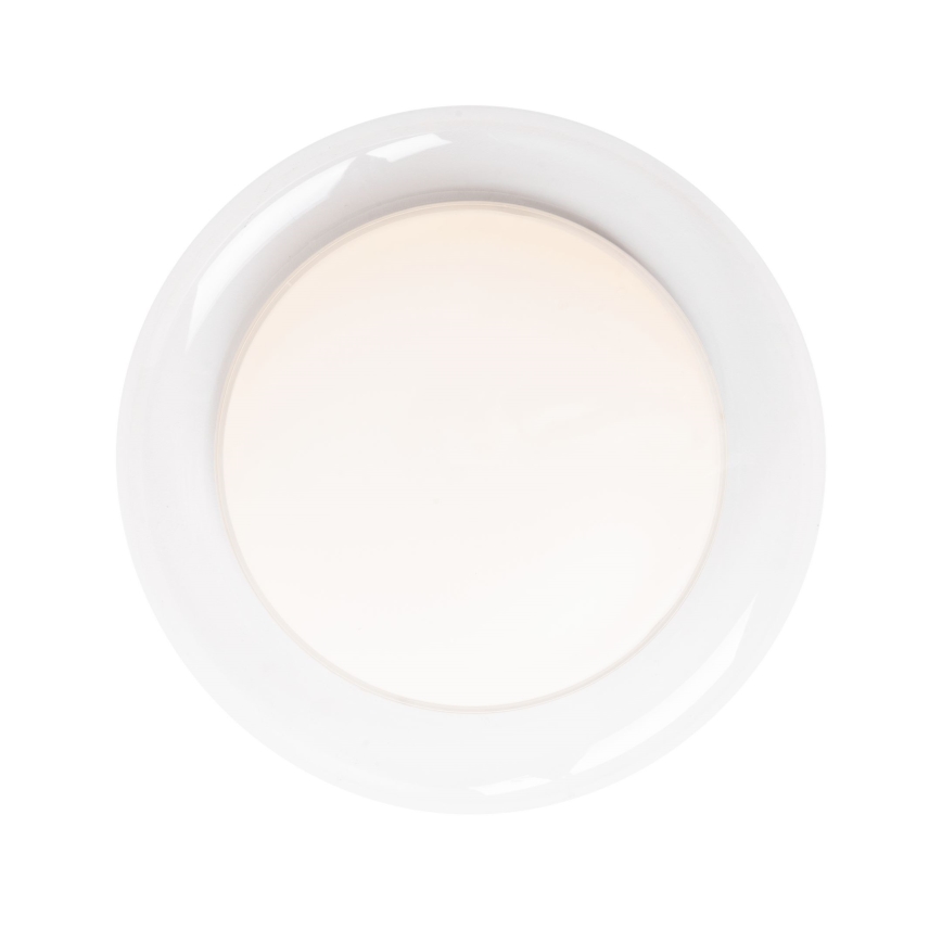 MAXLIGHT C0233 - LED Plafonjera DUO LED/10W/230V pr. 34 cm bela