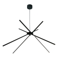 MAXLIGHT P0412 - LED luster na sajli SPIDER LED/33W/230V crno