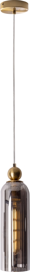 MAXLIGHT P0511 - Luster na sajli CAMPANILA 1xE27/40W/230V pr. 10 cm mesing/sivo