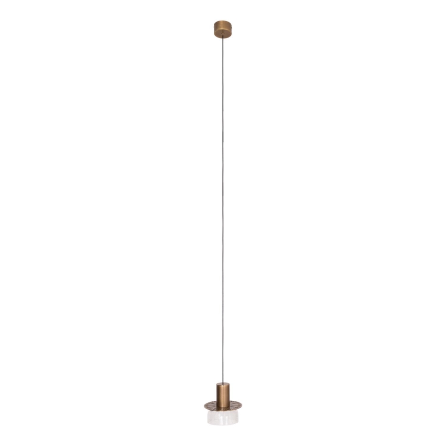 MAXLIGHT P0530 - LED luster na sajli SIGNATURE LED/8W/230V pr. 15 cm mesing/prozirna