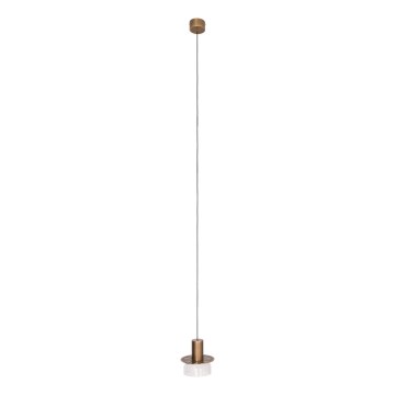 MAXLIGHT P0530 - LED luster na sajli SIGNATURE LED/8W/230V prečnik 15 cm mesing/transparentno staklo
