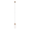 MAXLIGHT P0531 - LED luster na lanku SIGNATURE LED/8W/230V prečnik 15 cm mesing/proziran