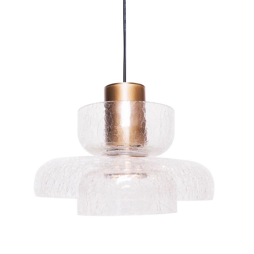MAXLIGHT P0532 - LED luster na sajli SIGNATURE LED/8W/230V pr. 22 cm mesing/prozirna
