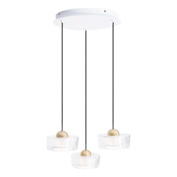 MAXLIGHT P0543 - LED luster na sajli LIPARI LED/22W/230V, Ø 35 cm, proziran