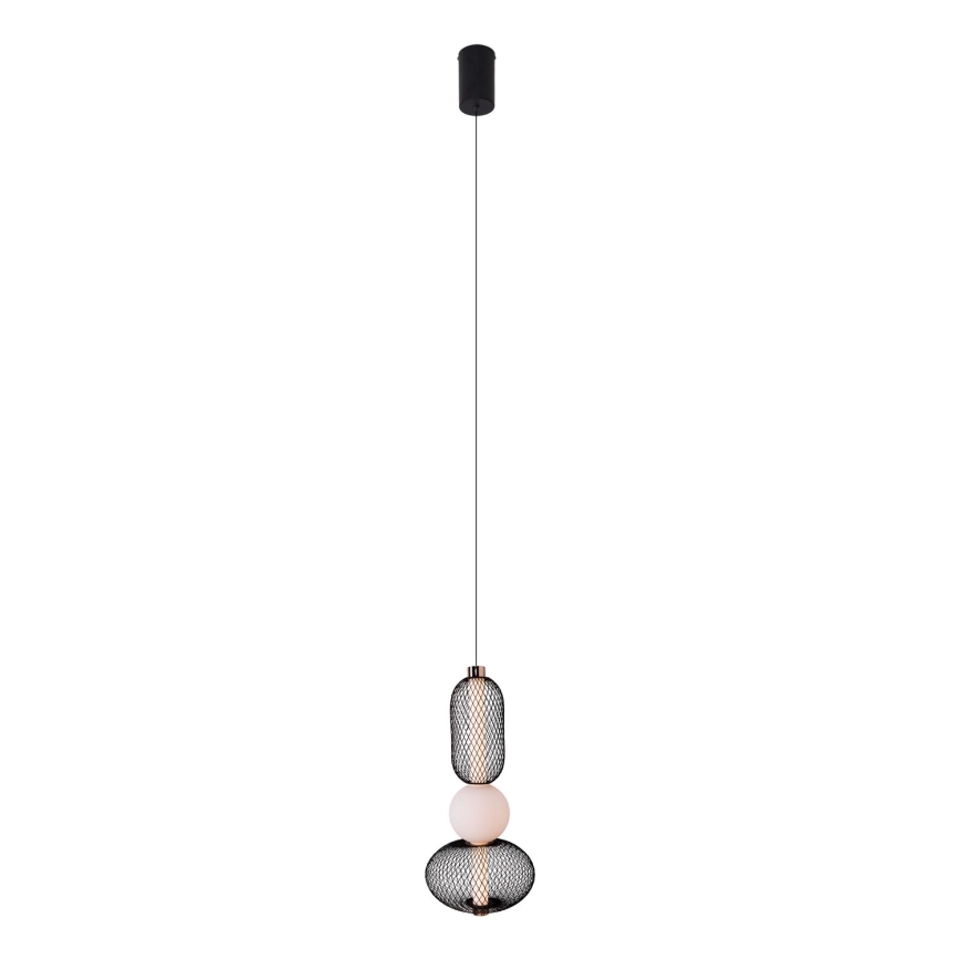 MAXLIGHT P0591 - LED luster na sajli BORA LED/10W/230V pr. 22 cm bela/crno