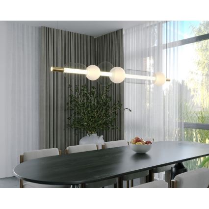 MAXLIGHT P0593 - LED luster na sajli BORA LED/29W/230V bela/crno