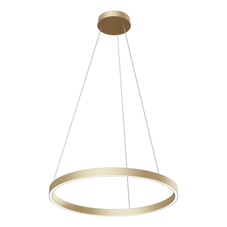Maytoni MOD058PL-L32BS4K - LED luster na sajli RIM LED/37W/230V 4000K pr. 60 cm zlatna