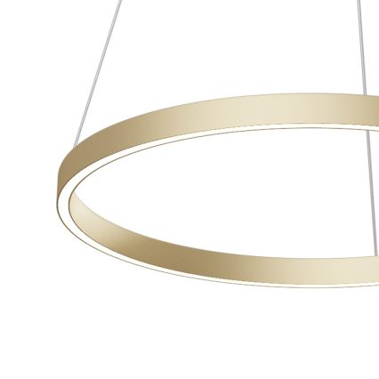 Maytoni MOD058PL-L32BS4K - LED luster na sajli RIM LED/37W/230V 4000K pr. 60 cm zlatna