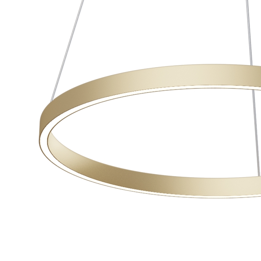 Maytoni MOD058PL-L32BS4K - LED luster na sajli RIM LED/37W/230V 4000K pr. 60 cm zlatna