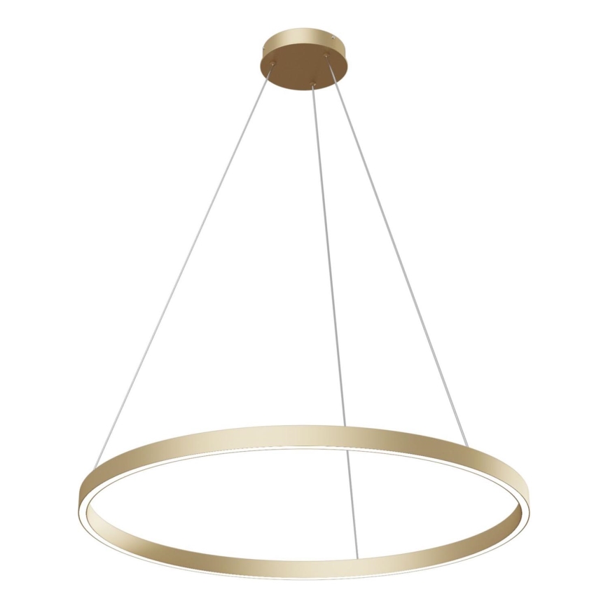 Maytoni MOD058PL-L42BS4K - LED luster na sajli RIM LED/51W/230V 4000K pr. 80 cm zlatna