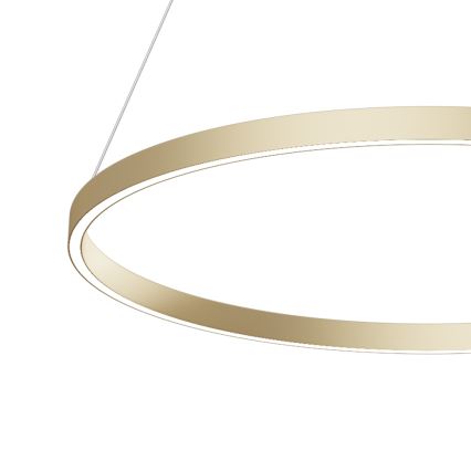 Maytoni MOD058PL-L42BS4K - LED luster na sajli RIM LED/51W/230V 4000K pr. 80 cm zlatna