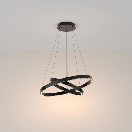 Maytoni MOD058PL-L55B3K - LED luster na sajli RIM LED/61W/230V 3000K pr. 60 cm crno