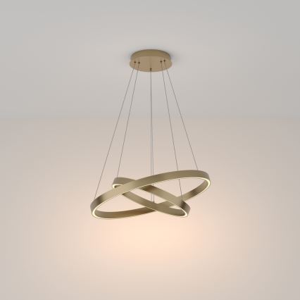 Maytoni MOD058PL-L55BS3K - LED luster na sajli RIM LED/61W/230V 3000K pr. 60 cm zlatna