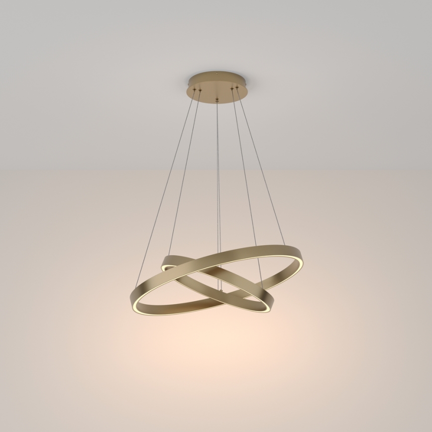 Maytoni MOD058PL-L55BS3K - LED luster na sajli RIM LED/61W/230V 3000K pr. 60 cm zlatna