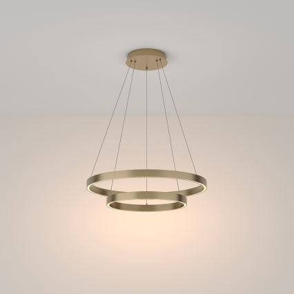 Maytoni MOD058PL-L55BS3K - LED luster na sajli RIM LED/61W/230V 3000K pr. 60 cm zlatna