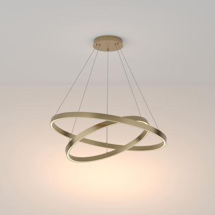 Maytoni MOD058PL-L74BS3K - LED luster na sajli RIM LED/88W/230V 3000K pr. 80 cm zlatna