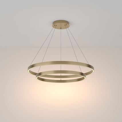 Maytoni MOD058PL-L74BS3K - LED luster na sajli RIM LED/88W/230V 3000K pr. 80 cm zlatna