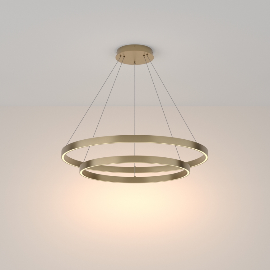 Maytoni MOD058PL-L74BS3K - LED luster na sajli RIM LED/88W/230V 3000K pr. 80 cm zlatna