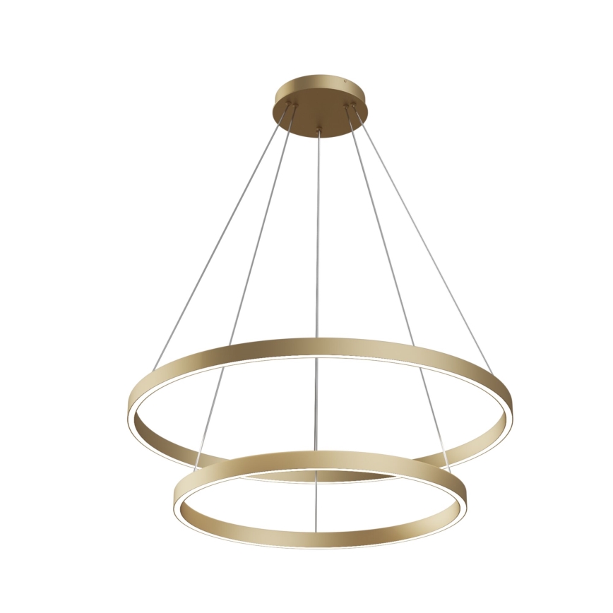 Maytoni MOD058PL-L74BS3K - LED luster na sajli RIM LED/88W/230V 3000K pr. 80 cm zlatna