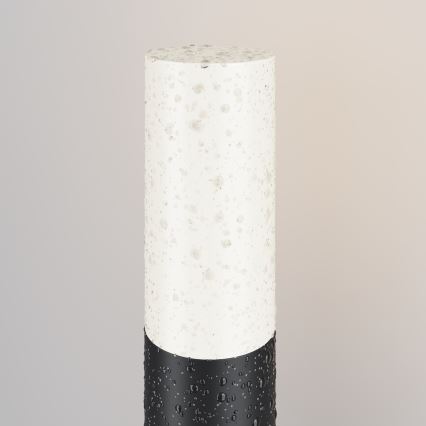 Maytoni O418FL-01B - Spoljašnja lampa WILLIS 1xE27/60W/230V 30 cm IP54 crno