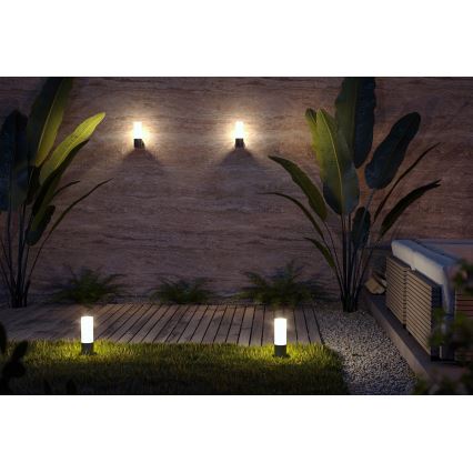 Maytoni O418WL-01B - Spoljašnja zidna lampa WILLIS 1xE27/60W/230V IP54 crno