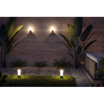 Maytoni O418WL-01GR - Spoljašnja zidna lampa WILLIS 1xE27/60W/230V IP54 antracit