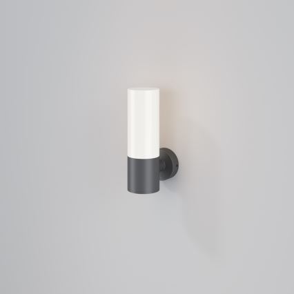 Maytoni O418WL-01GR - Spoljašnja zidna lampa WILLIS 1xE27/60W/230V IP54 antracit