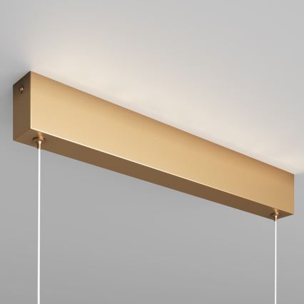 Maytoni P010PL-L23G3K - LED luster na sajli STEP LED/23W/230V 3000K 91 cm zlatna