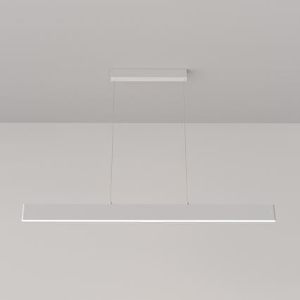 Maytoni P010PL-L30W4K - LED luster na sajli STEP LED/30W/230V 4000K 118,5 cm bela