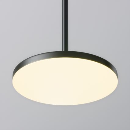Maytoni P076PL-L12W3K-B - LED luster na sajli PLATO LED/12W/230V 3000K crno